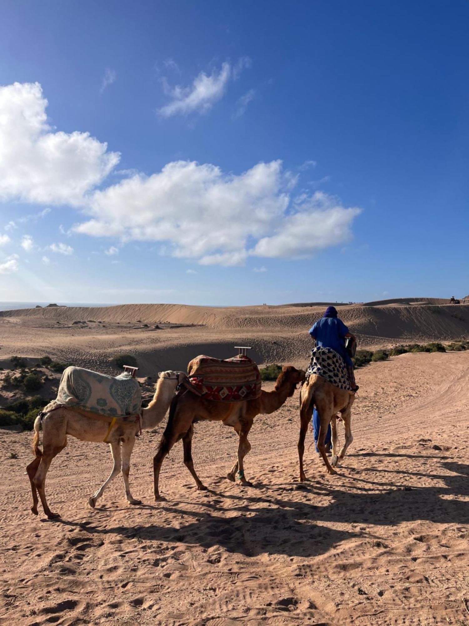 Hostel Nizar Surf Morocco Taghazout Exterior foto